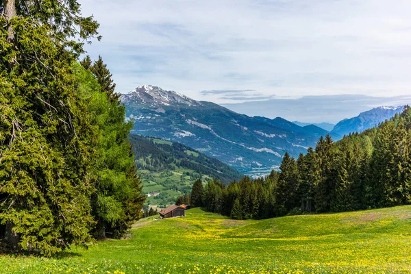 Stara Stajnia Łąkach Alpejskich Pokryta Zieloną Trawą Kolorowymi Kwiatami Szwajcarii — Zdjęcie stockowe
