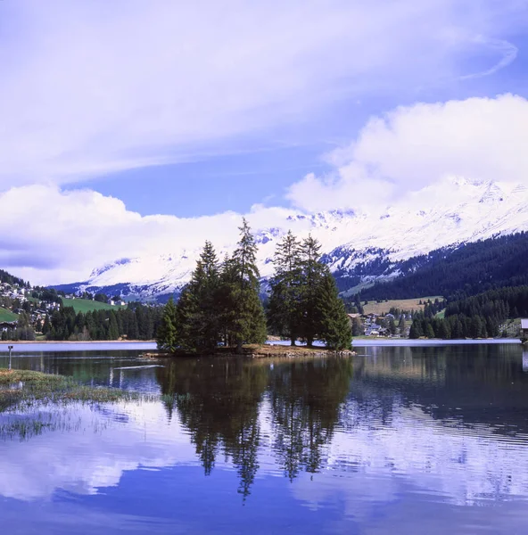 瑞士湖上的一棵树 用模拟电影滑行技术拍摄 — 图库照片