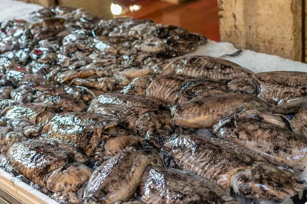 Vorbereitung Des Verkaufs Von Frischem Fisch Und Muscheln Auf Dem — Stockfoto