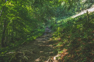İsviçre kantonu Appenzell 'deki dağlarda yürüyüş yaparken temel merdiven.