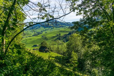 İsviçre 'nin Appenzell kantonunda yeşil çimlerle kaplı alp çayırlarındaki eski ahır.