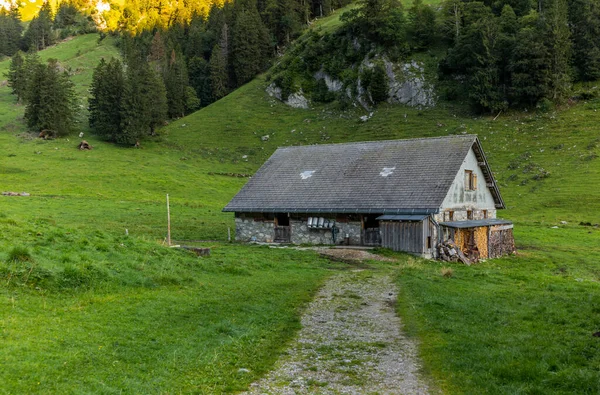 Der Weg Zum Saemtisersee Den Frühen Morgenstunden Nebelverhüllt Von Alten — Stockfoto