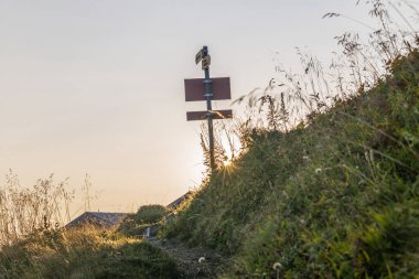 Gün doğumunda Appenzell, İsviçre 'deki Schaefler zirvesinde güneşin dağılması.