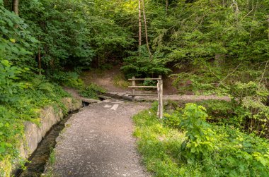 Suyu Güney Tirol 'deki Meran yakınlarındaki dağlardaki meyve bahçelerine taşımak için waal sistemi.