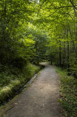 Suyu Güney Tirol 'deki Meran yakınlarındaki dağlardaki meyve bahçelerine taşımak için waal sistemi.