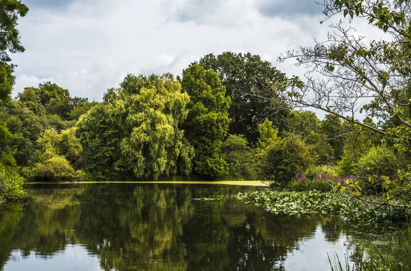 Yaz boyunca Londra 'da bir parkta su yüzeyine yansıyan ağaçlar