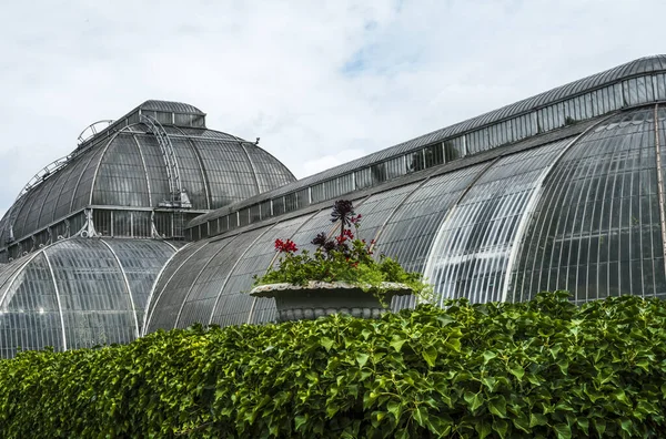 Kew Bahçeleri 'nin cam evleri yazın dışarıdan görünüyor.
