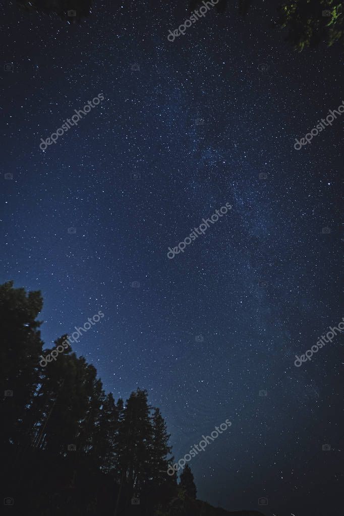 jasonwildephotography