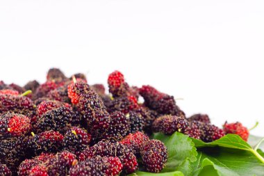 Beyaz arka planda dut meyvesi ve dut yaprağı. Sağlıklı dut meyvesi. İzole edilmiş.