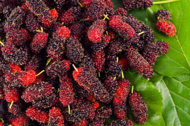 olgun dut meyvesi ve yeşil dut yaprağı beyaz arka planda sağlıklı dut meyvesi