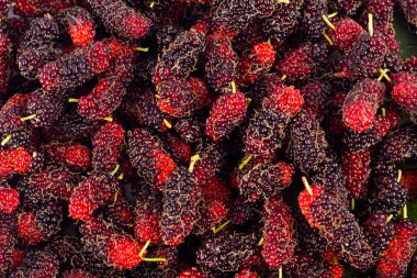 olgun dut meyvesi beyaz zemin üzerinde tatlı ve ekşi bir meyvedir sağlıklı dut meyvesi izole edilmiş