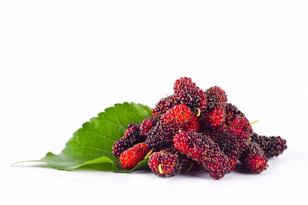 Dut Meyve ve dut yaprağı sağlıklı dut meyve gıda izole beyaz arka plan üzerinde