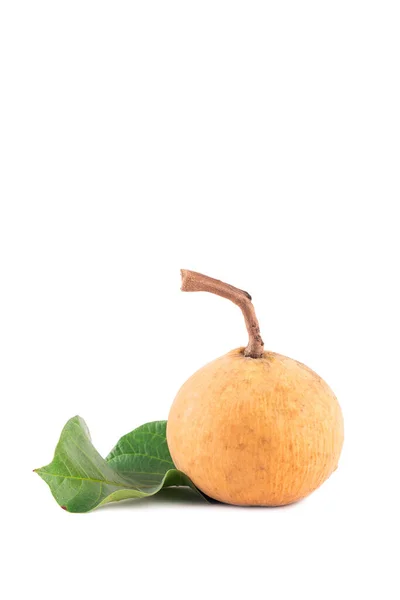 Rijp Santol Fruit Groene Santol Blad Witte Achtergrond Planten Landbouw — Stockfoto