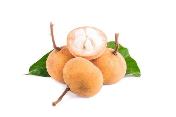 Santol Maduro Fruto Sentul Fruto Sazonal Tailândia Fundo Branco Plantio — Fotografia de Stock