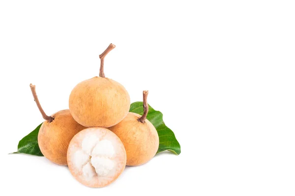 Yarı Noel Baba meyvesi ve Santol (meliaceae) ve yeşil Noel yaprağı beyaz arka planda zirai gıda ekimi izole