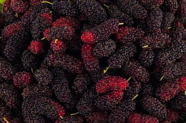 olgun dut meyvesi beyaz zemin üzerinde tatlı ve ekşi bir meyvedir sağlıklı dut meyvesi izole edilmiş