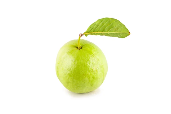 Guava Fresca Foglia Guava Verde Sfondo Bianco Frutta Agricoltura Cibo — Foto Stock