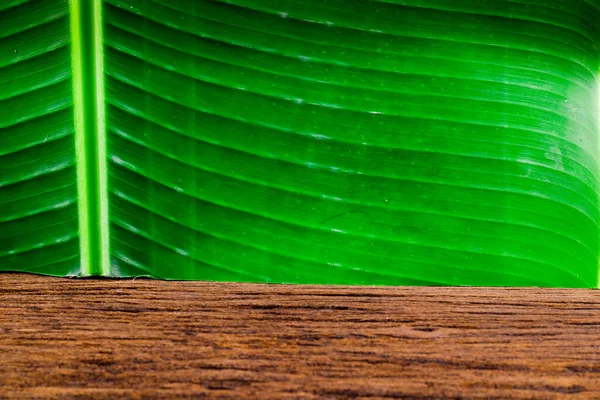 绿色香蕉叶和木制的自然细腻壁纸纹理背景 — 图库照片