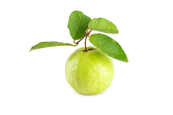 Goiaba Folha Goiaba Sobre Fundo Branco Fruta Agricultura Alimentos Isolados — Fotografia de Stock