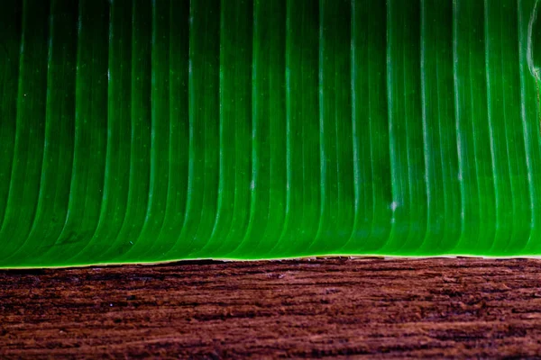 Grüne Bananenblatt Und Holz Auf Natürlichen Details Tapete Textur Hintergrund — Stockfoto