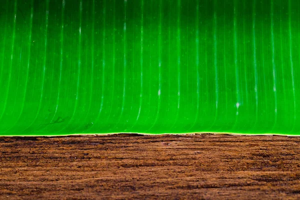 Grüne Bananenblätter Und Braunes Holz Auf Natürlichem Hintergrund — Stockfoto