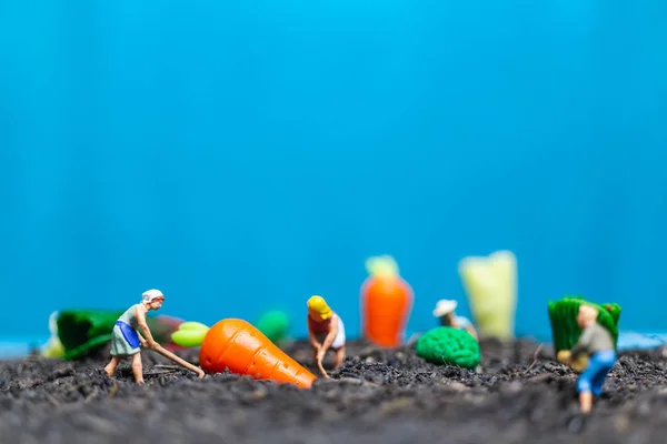 Pessoas Miniatura Jardineiros Colheita Legumes Conceito Agrícola — Fotografia de Stock