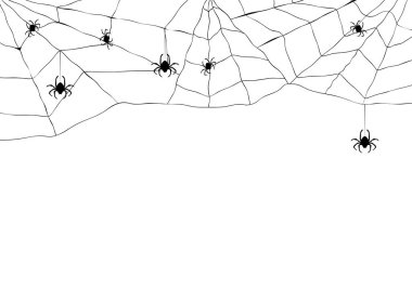 Siyah örümcek ve yırtık web. Korkunç spiderweb Cadılar Bayramı sembolü. Beyaz izole 