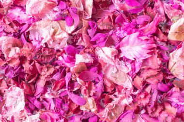 Kurutulmuş çiçek ve yaprakları arka plan