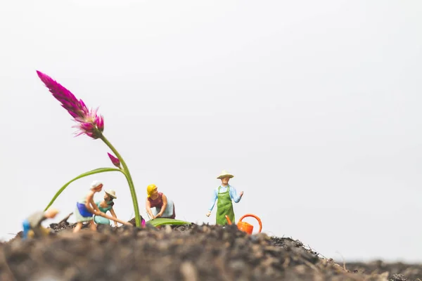Minyatür insanlar, bahçıvanlar kendine büyüyen bitkiler içinde fi iyi bak — Stok fotoğraf