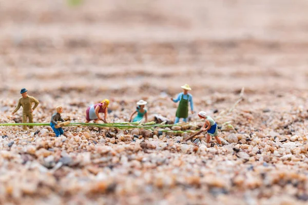 Personas en miniatura: Parcela de trabajo del agricultor en el desierto —  Fotos de Stock
