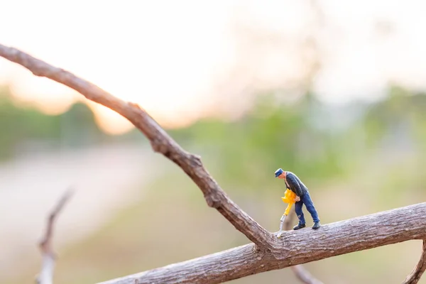 Miniatyr människor: arbetare skär grenarna — Stockfoto