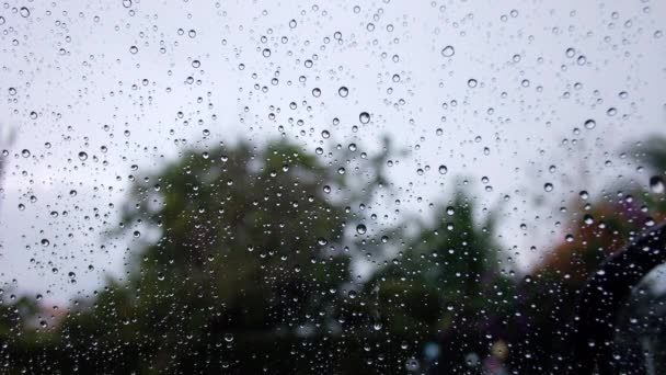 Gros plan des gouttelettes d'eau sur le verre — Video