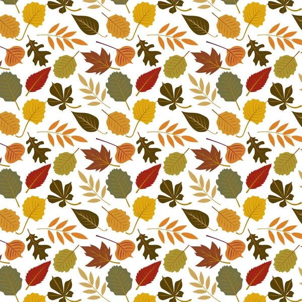 Collection Beautiful Colourful Autumn Leaves Pattern Isolated White Background — Stock Vector