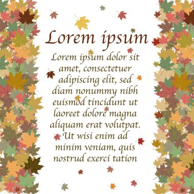 Beyaz arka plan üzerinde izole renkli akçaağaç yaprakları ile Sonbahar arka plan