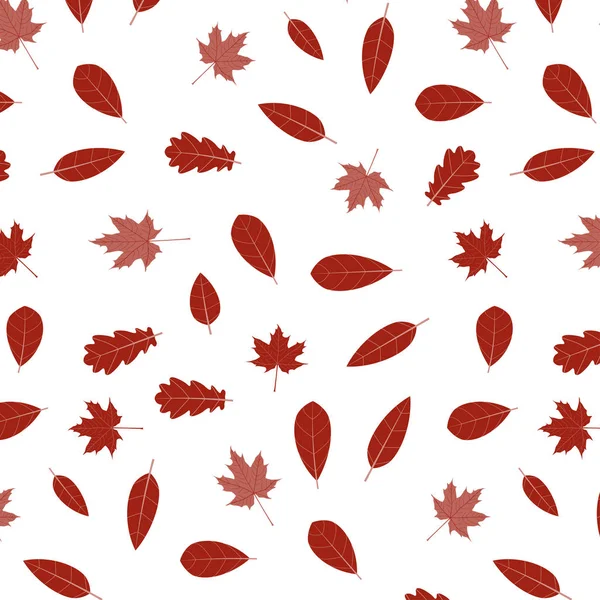 白色背景上的秋季图案背景隔离 — 图库矢量图片