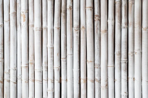 Bamboe hek textuur achtergrond — Stockfoto