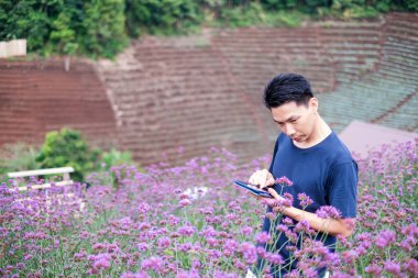 Verbena bahçesinde çalışan Asyalı genç bir adamın portresi, tarım kavramı.