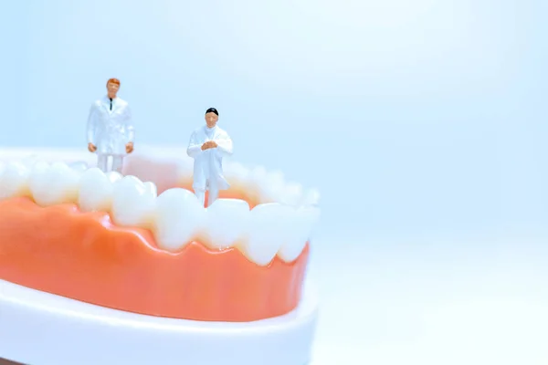 Persone Miniatura Dentista Osserva Discute Dei Denti Umani Con Gengive — Foto Stock