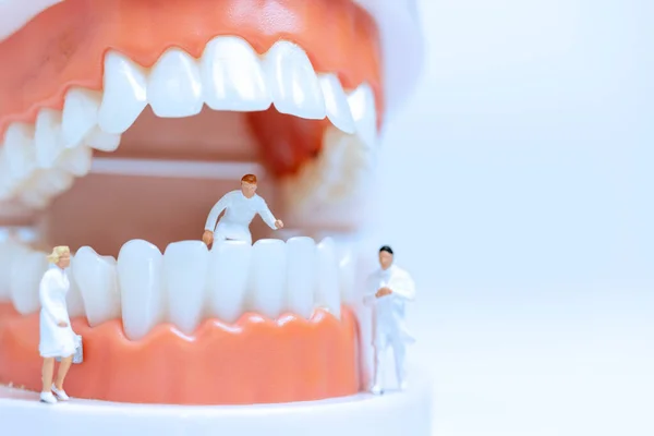 Personas Miniatura Dentista Observando Discutiendo Sobre Dientes Humanos Con Encías — Foto de Stock