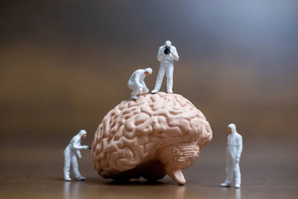 Pessoas Miniatura Cientista Observando Discutindo Sobre Cérebro Humano Cuidados Médicos — Fotografia de Stock