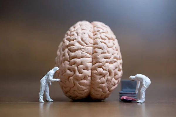 Pessoas Miniatura Cientista Observando Discutindo Sobre Cérebro Humano Cuidados Médicos — Fotografia de Stock