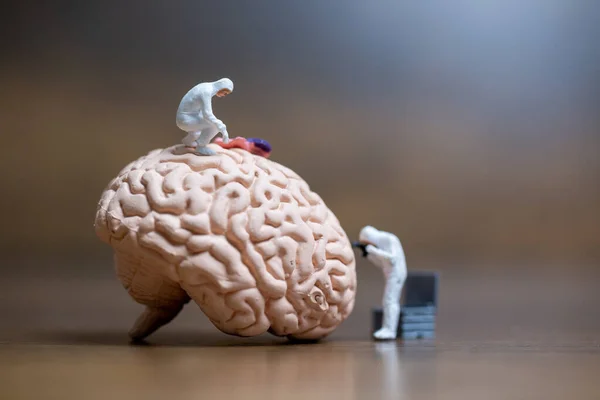 Pessoas Miniatura Cientista Observando Discutindo Sobre Cérebro Humano Cuidados Médicos — Fotografia de Stock