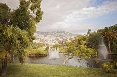 Madeira Funchal karşılaşmış ve onun şaşırtıcı doğa Portekiz, Atlantik Okyanusu'nun ortasında bir Cennet Adası