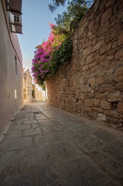 Bir sokak görünümü ile taştan bir duvar asma ile kaplı ve Viyadükler döşenir