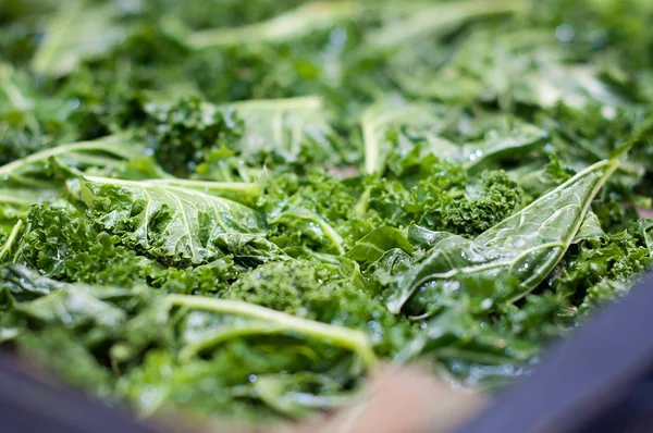 Verse groene en voedzaam biologische boerenkool voorbereid voor cooki — Stockfoto