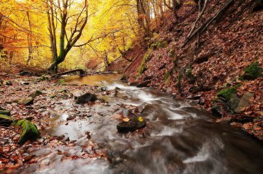 sonbahar manzara. derin renkli ağaçlar ve güzel şelale