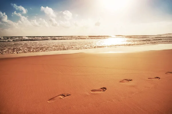 Passi sulla spiaggia di sabbia dorata dell'oceano al tramonto. estate naturale ba — Foto Stock