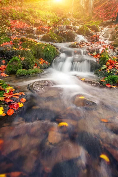 Hermosa cascada y árboles con hojas de colores en aut soleado — Foto de Stock