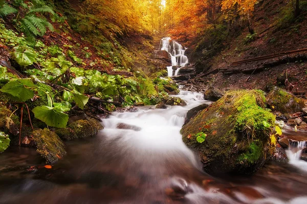 Paisaje de otoño. árboles coloridos y hermosa cascada en las profundidades — Foto de Stock