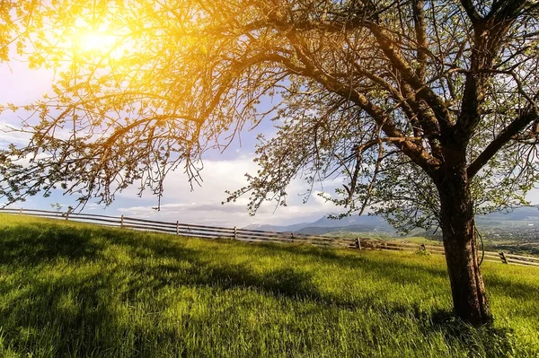 Bellissimo paesaggio rurale con vecchia recinzione in legno, vista sulle montagne o — Foto Stock